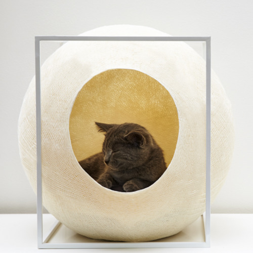 Meyou Designer Cat Bed & Luxury Pod in Champagne - Handmade in Paris image 3