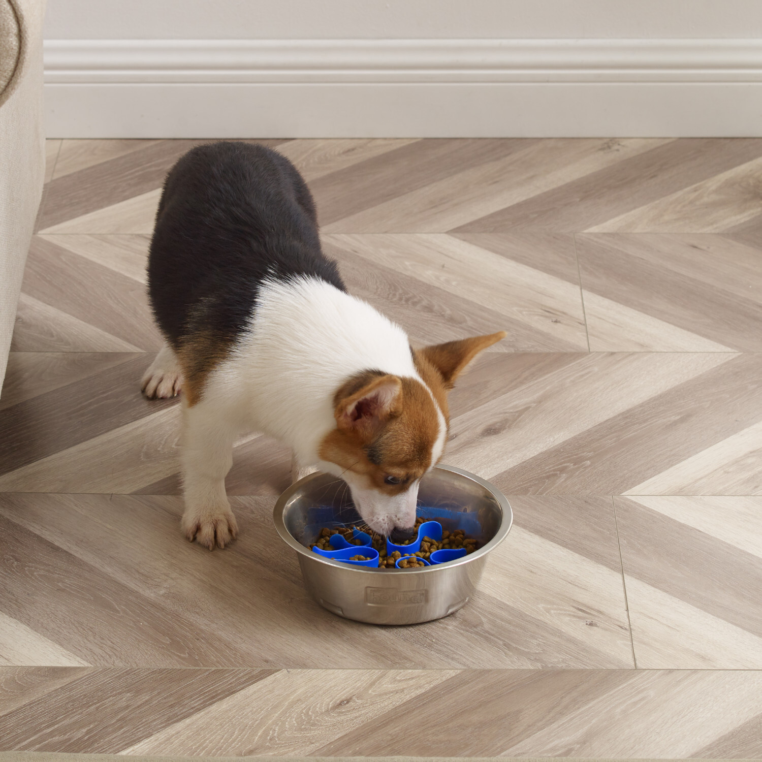 Outward hound fun feeder difficulty new arrivals
