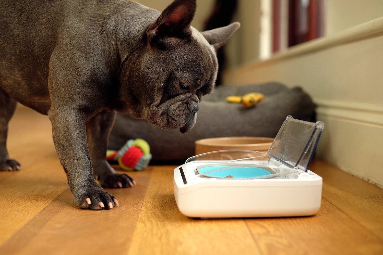 Surefeed Motion-Activated Battery Operated Sealed Pet Food Bowl image 3