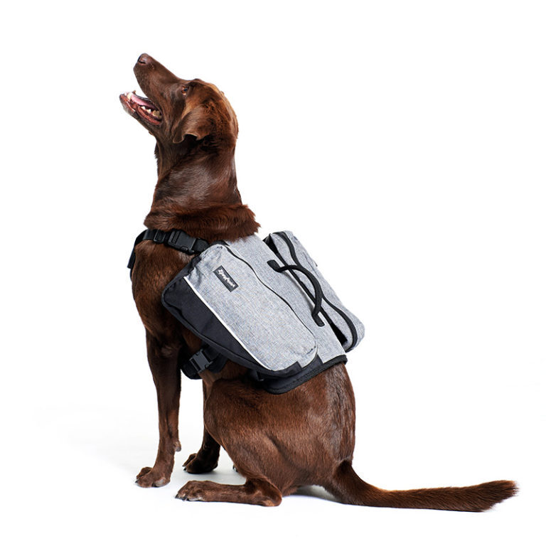 Zippy Paws Dog Backpack in Graphite Grey image 3
