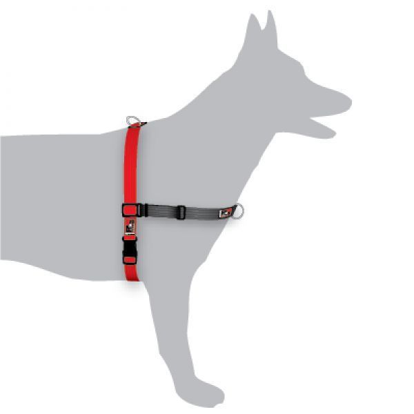 Black Dog Balance Halter - Front & Back Attach Dog Harness image 3