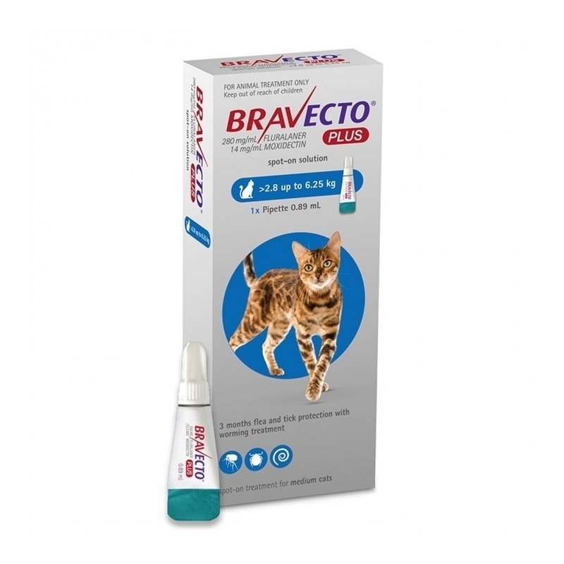 bravecto cat flea