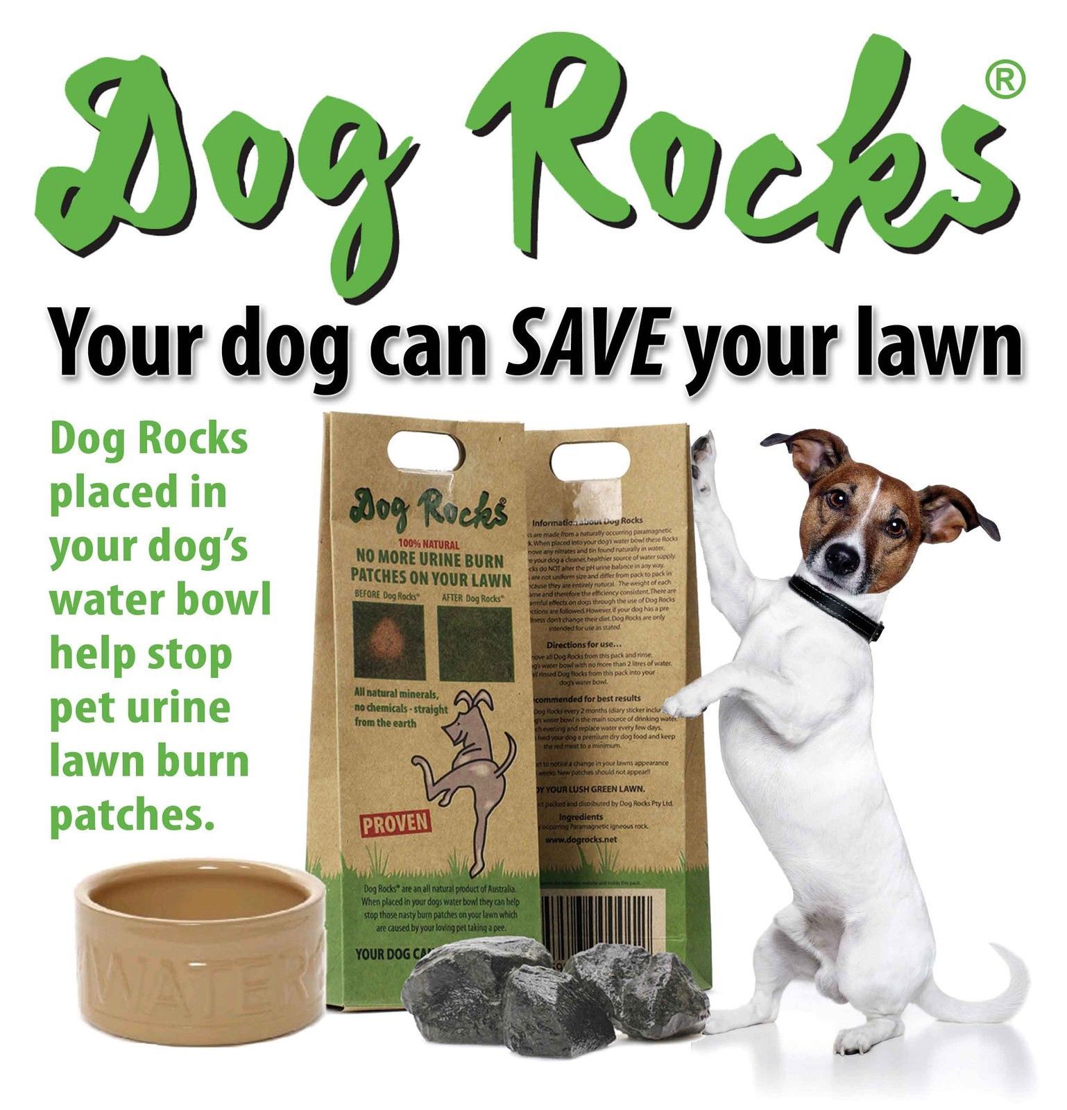 Dog Rocks Natural Lawn Protector - Add to Dog's Water Bowl image 3