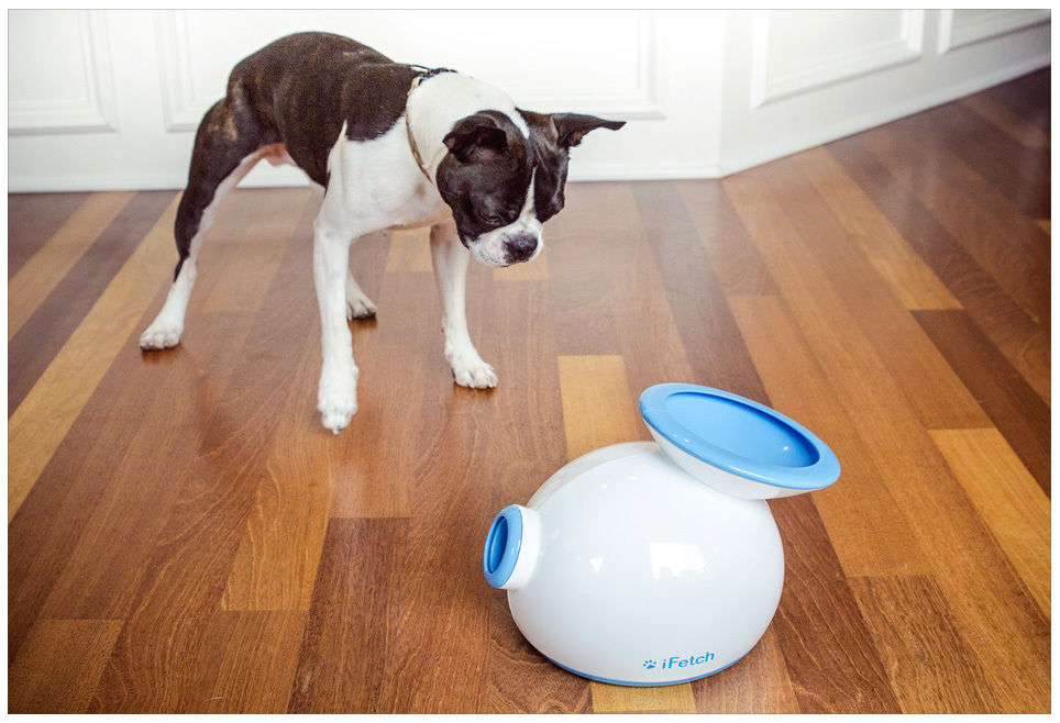 iFetch Interactive Ball Launcher for Dogs