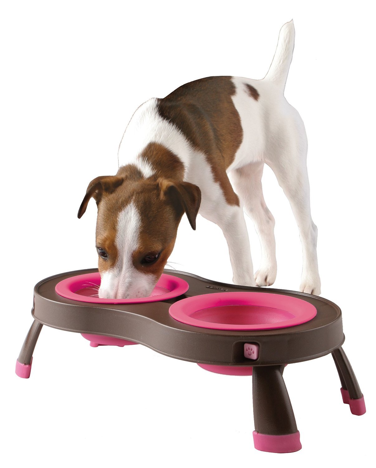 Popware Elevated Pet Feeder With Double Collapsible Bowls Ebay
