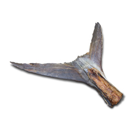 Large Fish Tail -  Naturally Dried Australian Dog Dental Treats - 5 Pieces image 3