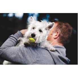 3 x KONG AirDog Squeaker Balls Non-Abrasive Dog Toys - 3 Pack - XSmall image 3