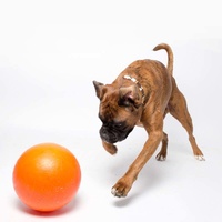 Aussie Dog Staffie Ball - Extra Tough Large Rattle Dog Toy image 3
