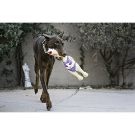Charming Pet Squawkers Extreme Squeaker Latex Dog Toy - Henrietta - Large image 3