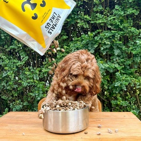 Animals Like Us Dog Food RawMix33 Grass-Fed Lamb 33% Freeze Dried Raw - 2kg image 3