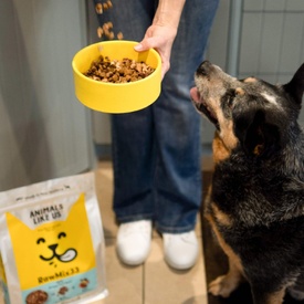 Animals Like Us Dog Food RawMix50 Grass-Fed Beef 50% Freeze Dried Raw image 3