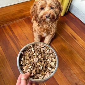 Animals Like Us Dog Food RawMix50 Grass-Fed Lamb 50% Freeze Dried Raw image 3