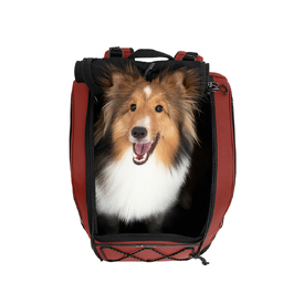 Ibiyaya Champion 3-in-1 Carrier, Backpack & Car Seat for Dogs up to 12kg image 3