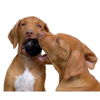 KONG Classic Extreme Black Interactive Dog Toy - for Tough Dogs! - Large image 3