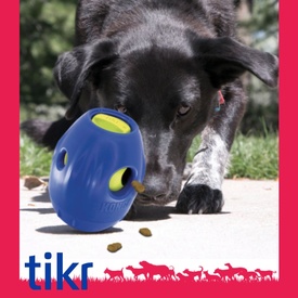 KONG Tikr Time Release Interactive Dog Food & Treat Dispenser image 3