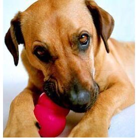 2 x KONG Classic Red Stuffable Non-Toxic Fetch Interactive Dog Toy - X-Large image 3