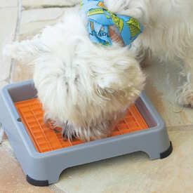 Lickimat Indoor Keeper Slow Dog Bowl Pad Holder for Standard Size Lickimats image 3