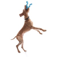 West Paw Tizzi Treat & Tug Toy for Tough Dogs image 3