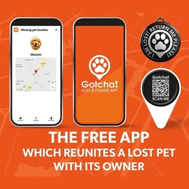 Max & Molly Smart ID Cat Collar - Donuts image 3