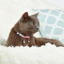 Max & Molly Smart ID Cat Collar - Cherry Bloom image 3