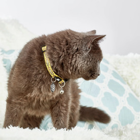 Max & Molly Smart ID Cat Collar - Monkey Maniac image 3