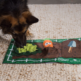 Nina Ottosson Interactive Snuffle Activity Puzzle Mat for Dogs - Garden image 3