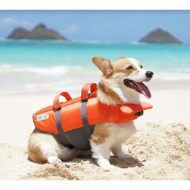 Outward Hound "Granby Splash" Life Vest Jacket for Dogs *New Design image 1