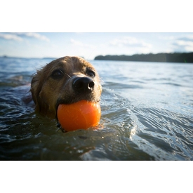 Planet Dog Orbee Tuff Fresh Breath Squeaker Fetch Ball for Dogs image 3