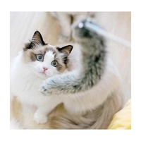 Pidan Cat Teaser Add-on Accessories Furry Teaser (A5) image 2