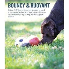 Planet Dog Durable Treat Dispensing & Fetch Dog Toy - Basketball  image 3