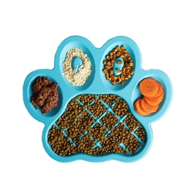 PAW Slow Feeder Wet & Dry Food Bowl for Cats & Dogs image 3