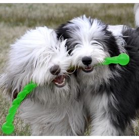 KONG Safestix Stick Alternative Fetch Stick Dog Toy - Medium - 3 Unit/s image 3