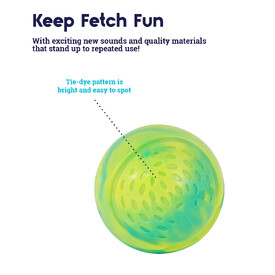 Petstages Grunt N Punt Tennis Ball Fetch Dog Toy image 3