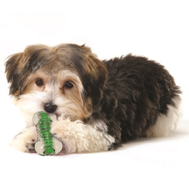 Petstages Crunchcore Crunchy Centre Chew Bone Dog Toy image 3