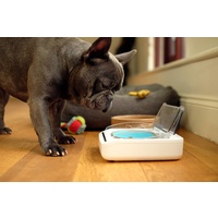 Surefeed Motion-Activated Battery Operated Sealed Pet Food Bowl image 3