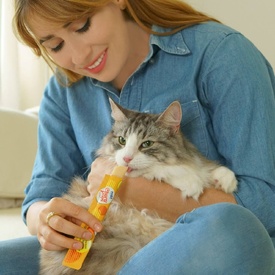 Inaba Cat Churu Pops Meal Topper Treat - Creamy Chicken Recipe 24 x 15g Tubes image 3