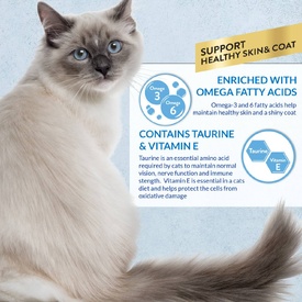 Inaba Cat Churu Pops Meal Topper Treat - Creamy Skin & Coat Varieties 50 x 15g Tubes image 3