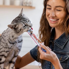 Inaba Cat Churu Meal Topper Treat - Creamy Salmon & Tuna Recipe 24 x 14g Tubes image 3