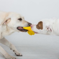 Aussie Dog Eightathong Floating Tug Dog Toy - Large image 3