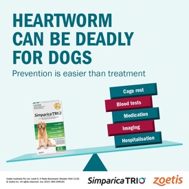 Simparica Trio Flea, Tick & Heartworm Chew for Puppy Dogs 2.6-5kg - 3-Pack image 3