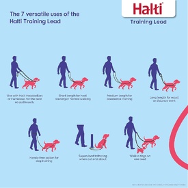 HALTI Headcollar – Gentle Control Halter for Dogs That Pull image 3