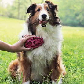 KONG ZoomGroom Silicone Cleaning Brush for Dogs image 3