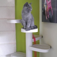 Monkee Tree - The Scalable Cat Climbing Ladder 18 Trunk Starter Pack image 3