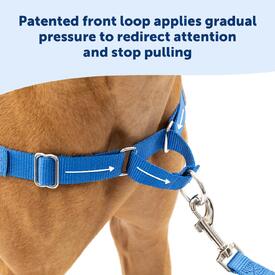 Petsafe Easy Walk Front-Attachment No-Pull Dog Harness image 3