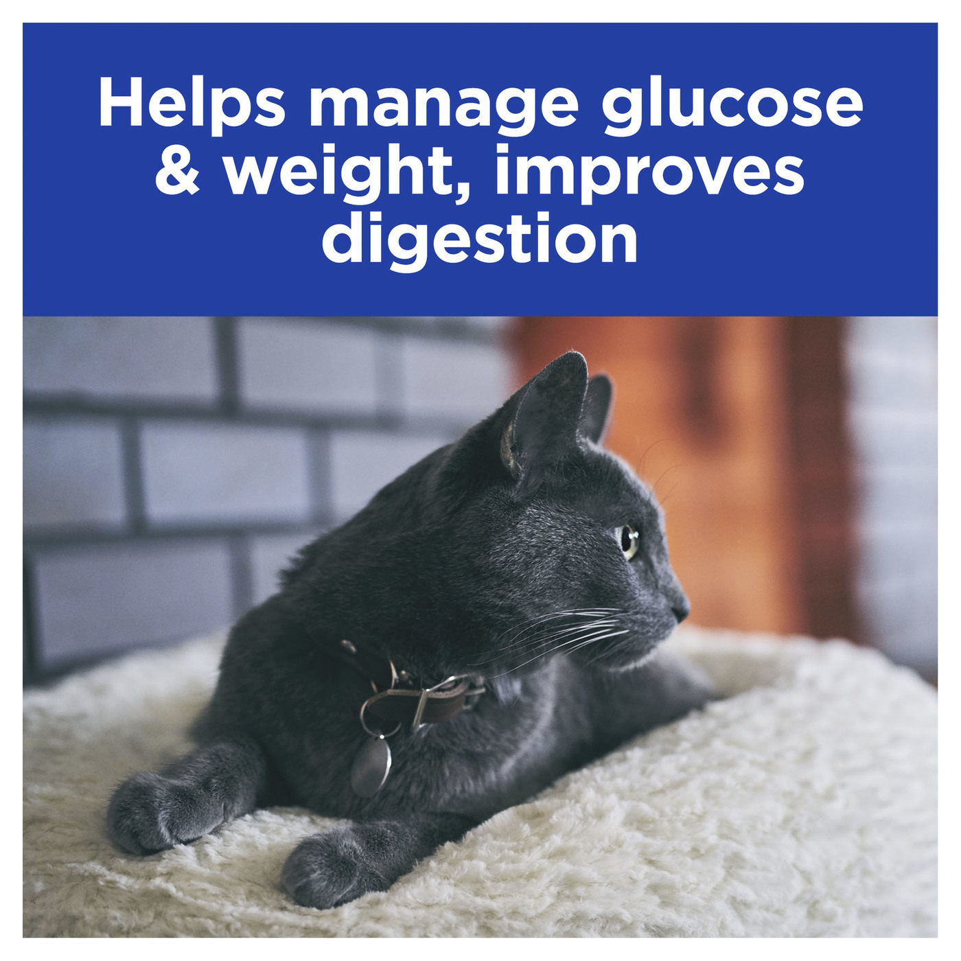 Hills Prescription Diet w/d Digestive/Weight Management Dry Cat Food 1.5kg image 4