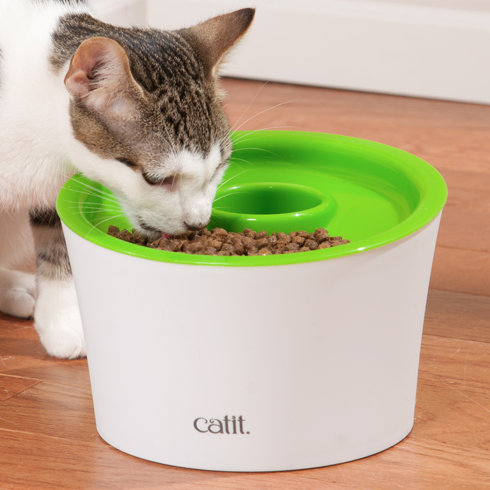 cat pawing at food bowl