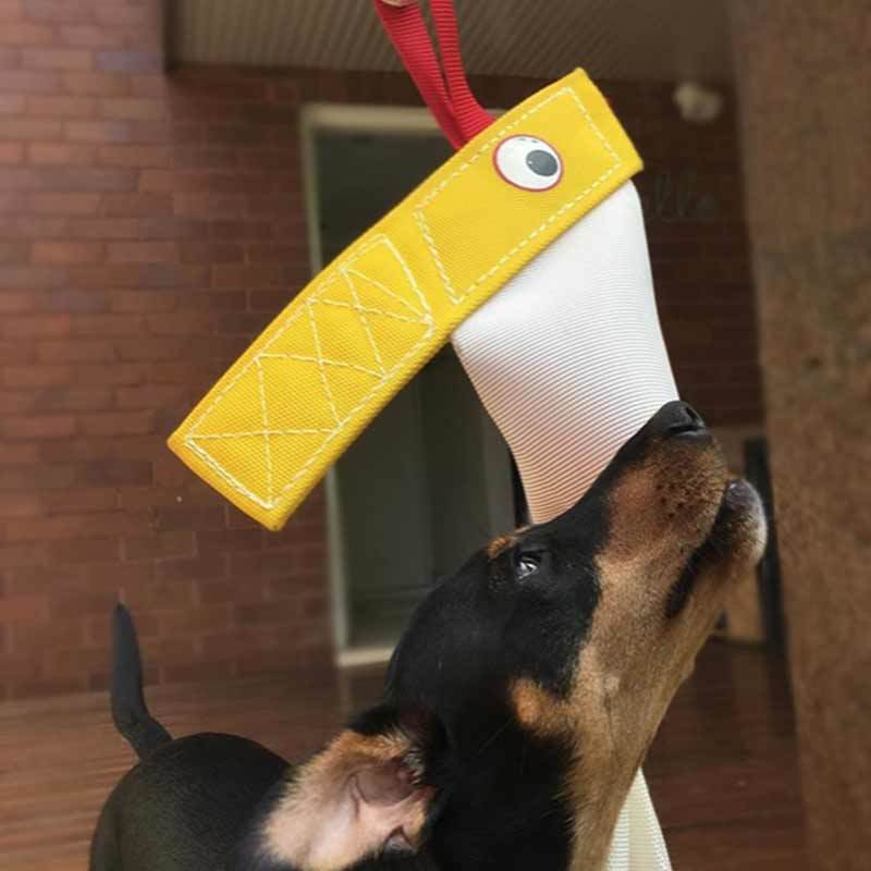 Aussie Dog Standard Bungie Chook Hanging Dog Toy image 4