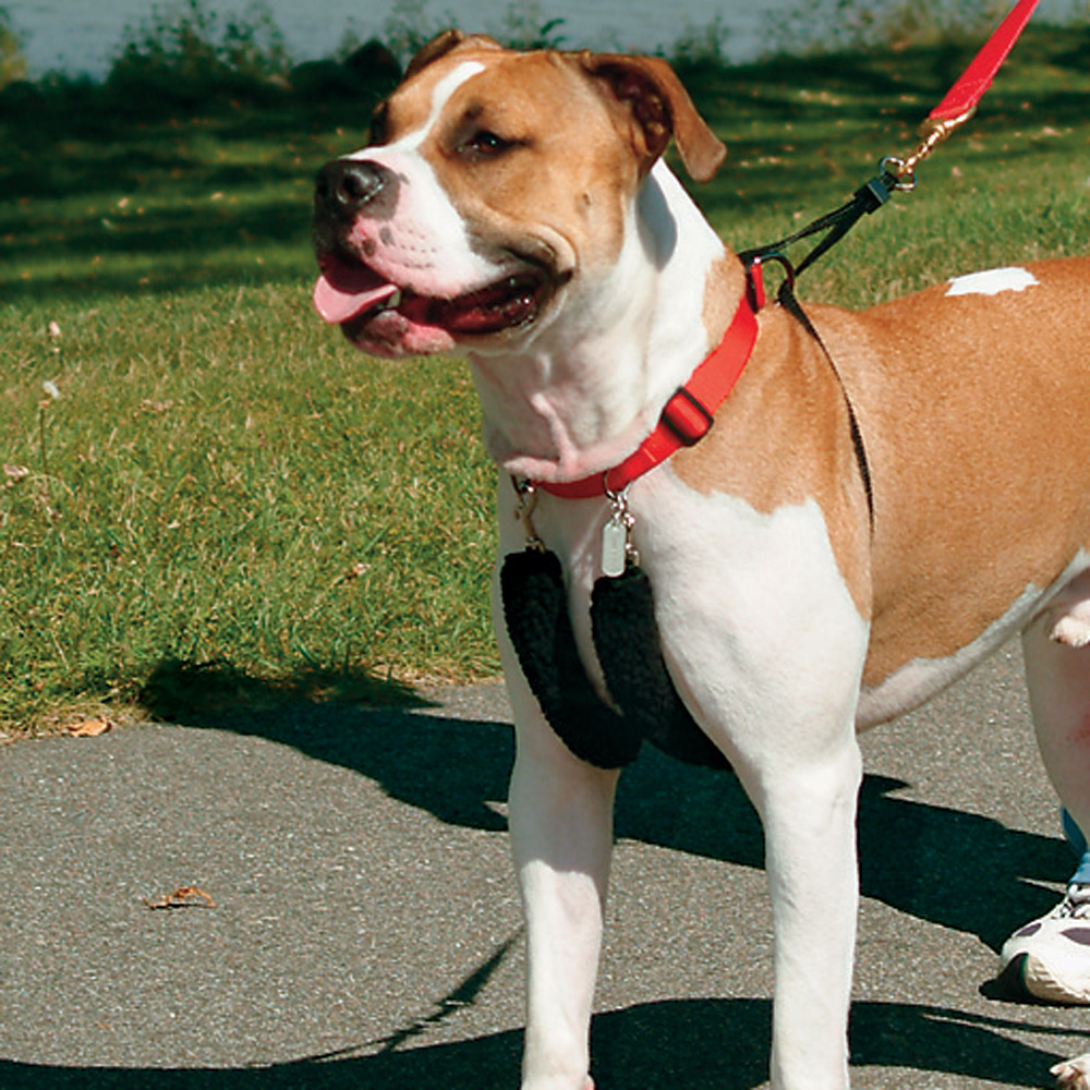 Dog halter to stop Pulling Sporn Halter Harness