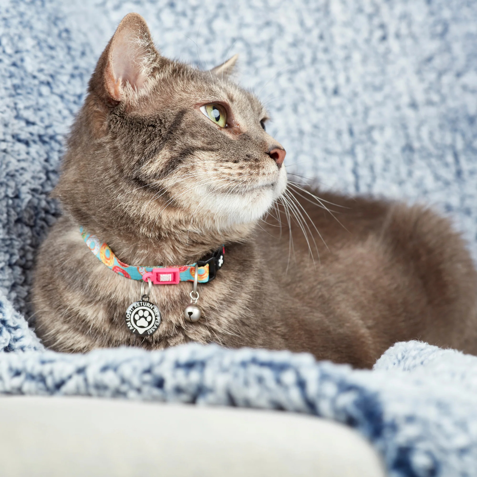 Max & Molly Smart ID Cat Collar - Donuts image 4