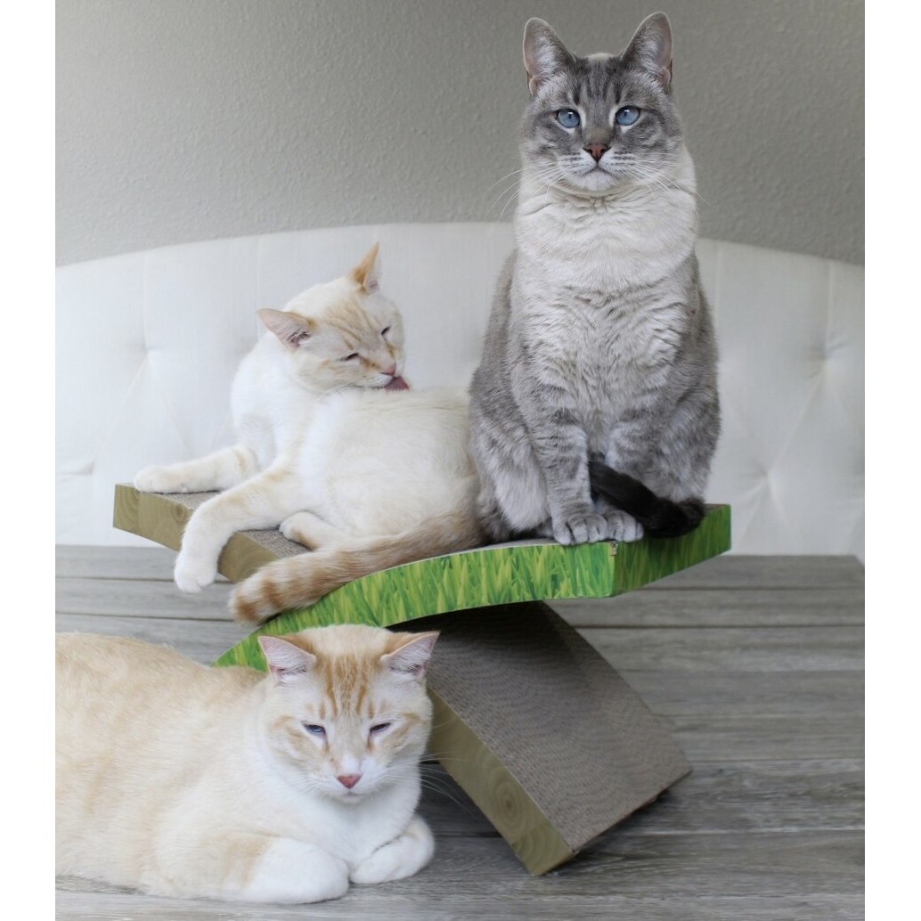 Petstages Easy Life Hammock Cardboard Cat Scratcher & Bed image 4